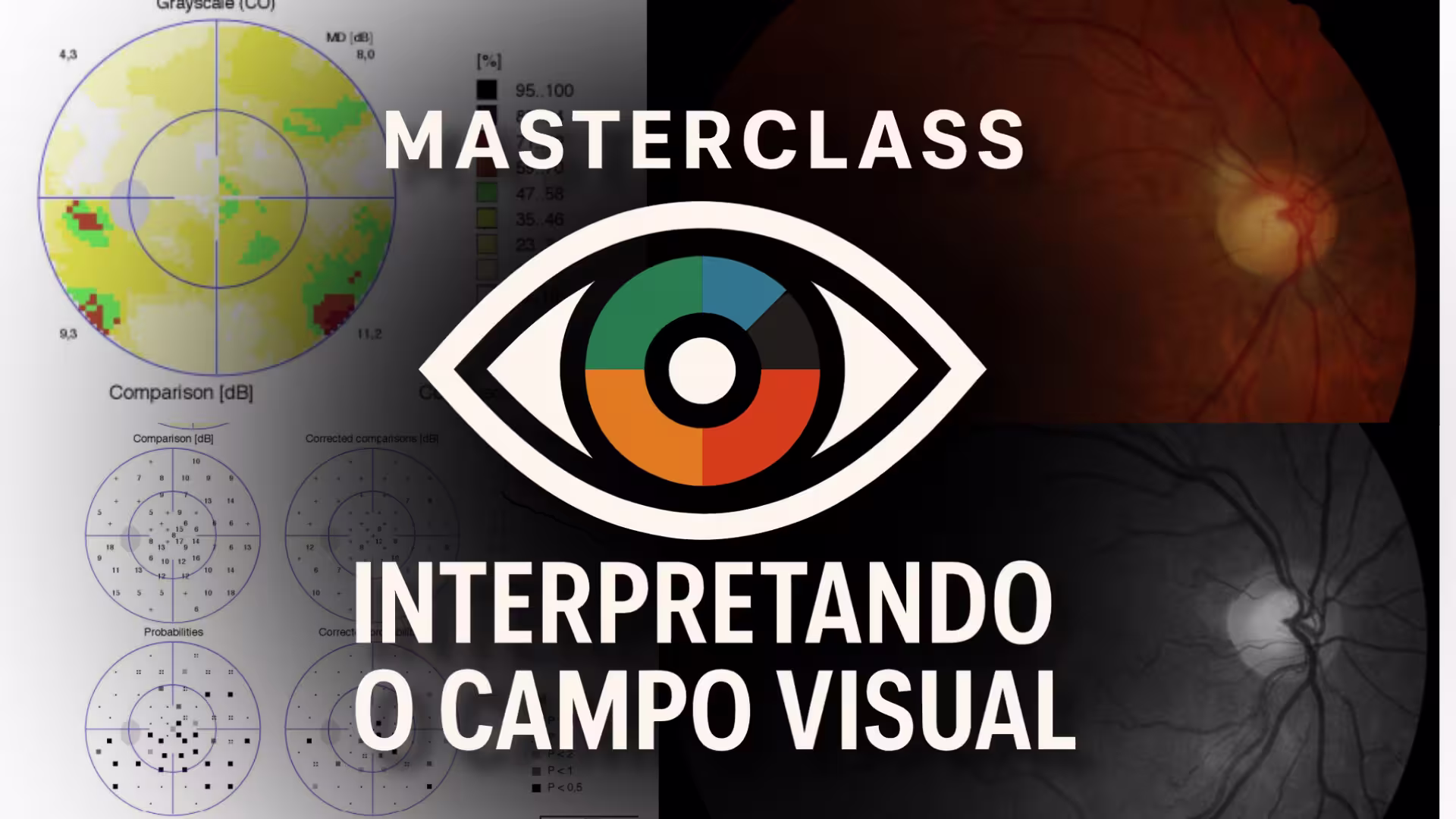 Masterclass Interpretando Campo Visual